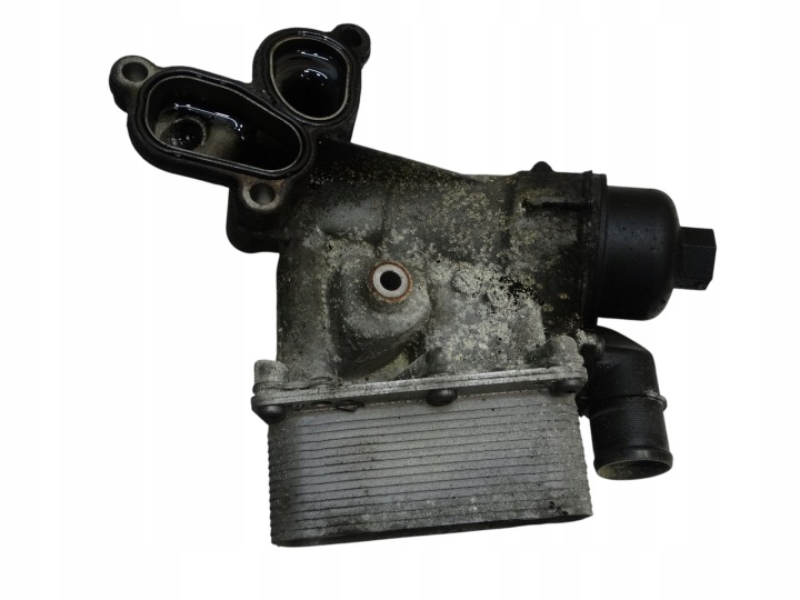 Porta Filtro Radiatore olio motore usato RENAULT SCENIC III 2.0 DCI 8201005241