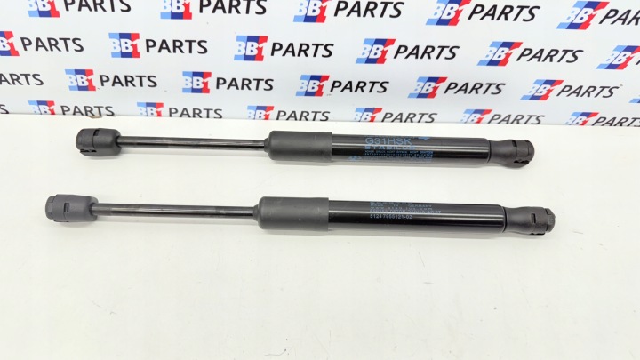 BMW G31 Dämpfer heckklappe Kofferraum heck KOMBI TOURING 7955121