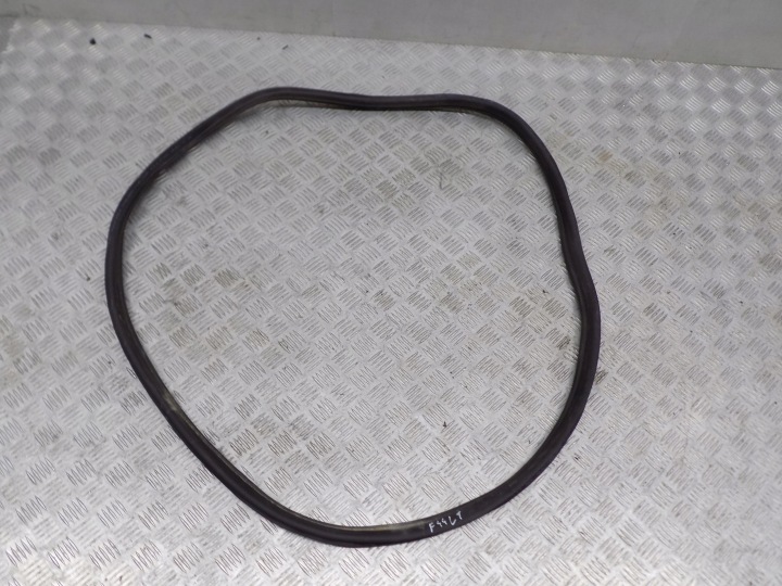 BMW F44 GUARNIZIONE PORTA PORTIERA POSTERIORE 7483099