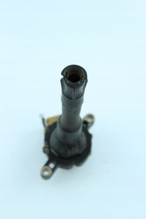 bobina Di accensione BMW 1748017 BMW