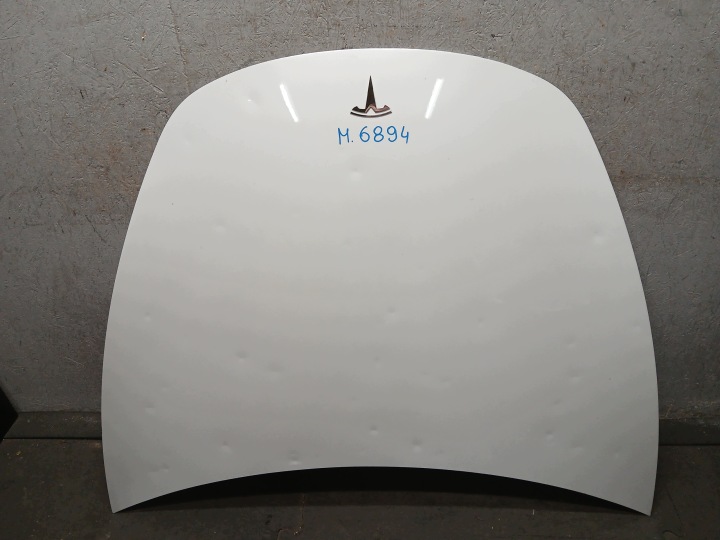 cofano TESLA III 3 grandine