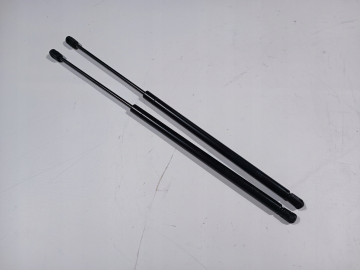 damper silowniki bonnets komplet Ford Flex