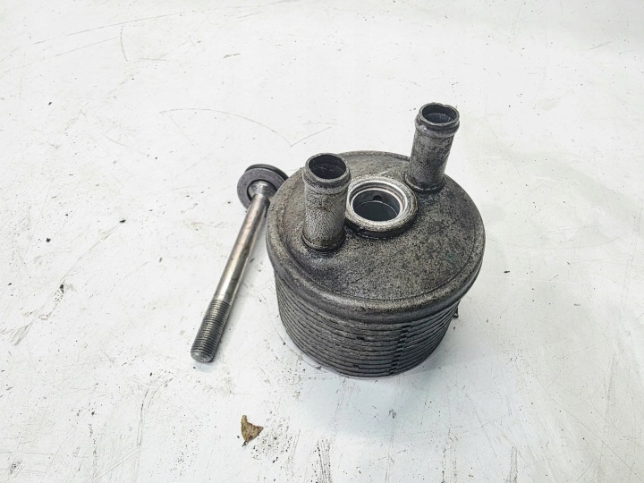 Radiatore olio motore usato cambio ingranaggi VOLKSWAGEN SHARAN II 09A317019