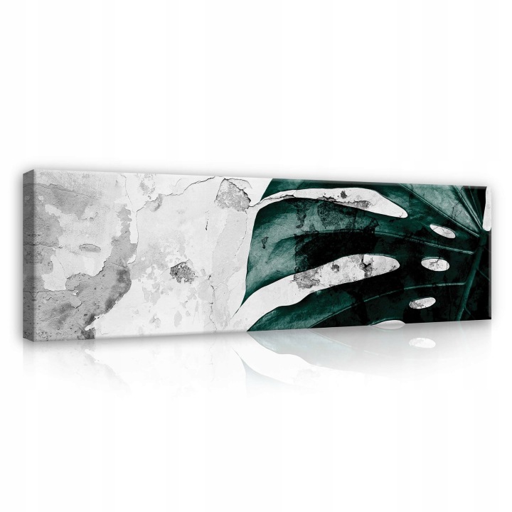 Obraz 145x45 Monstera list zelená stěna textura kontrast příroda růst