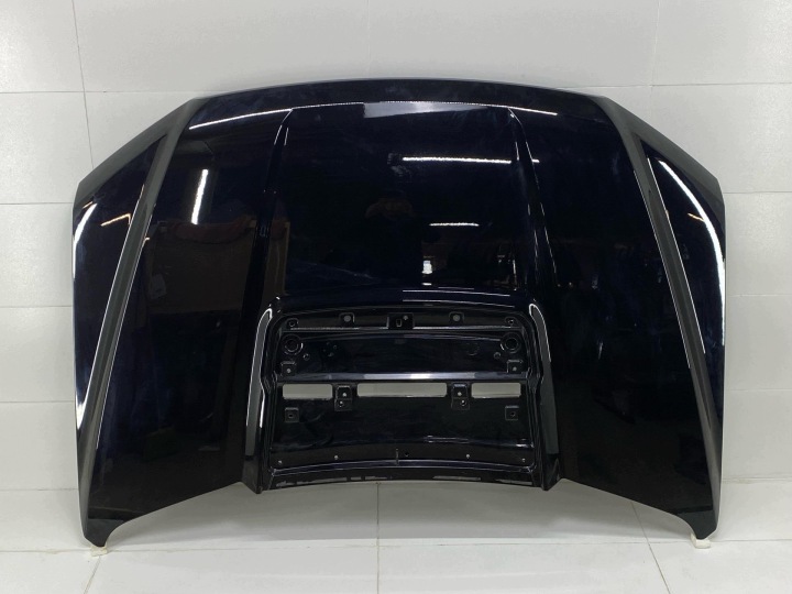 kapota Ford F-150 14 P702 2021 JL3A-19A688-BB