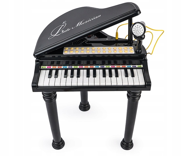 PIANO ORGAN FOR CHILDREN KEYBOARD MP3 PIANO LEARNING TO PLAY + MICROPHONE Kind piano