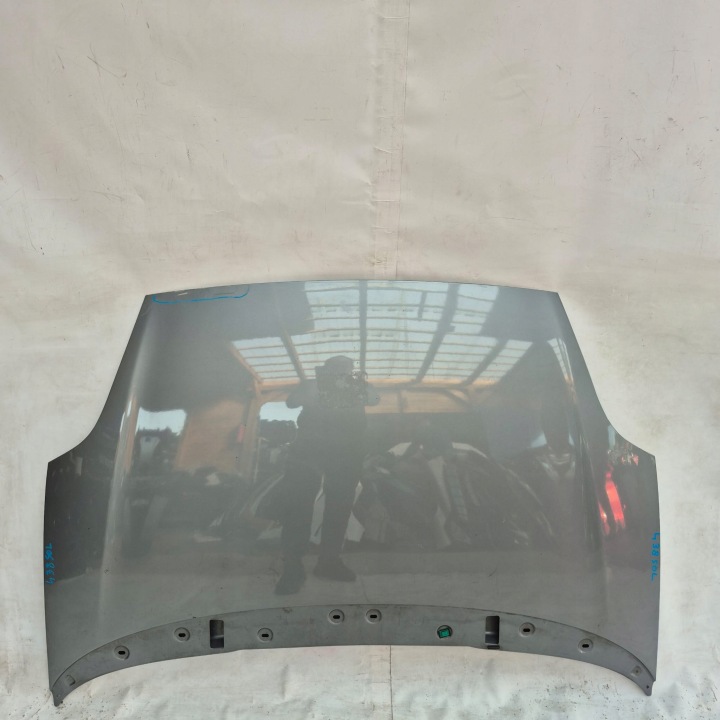 FIAT GRANDE PUNTO 05- Cofano