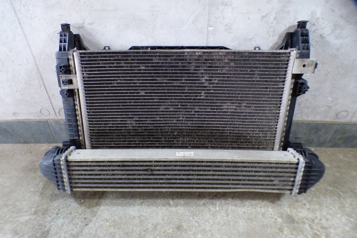 Mercedes B-Klasa W245 2.0 CDI Montaggio radiatore VENTOLA A1695002904