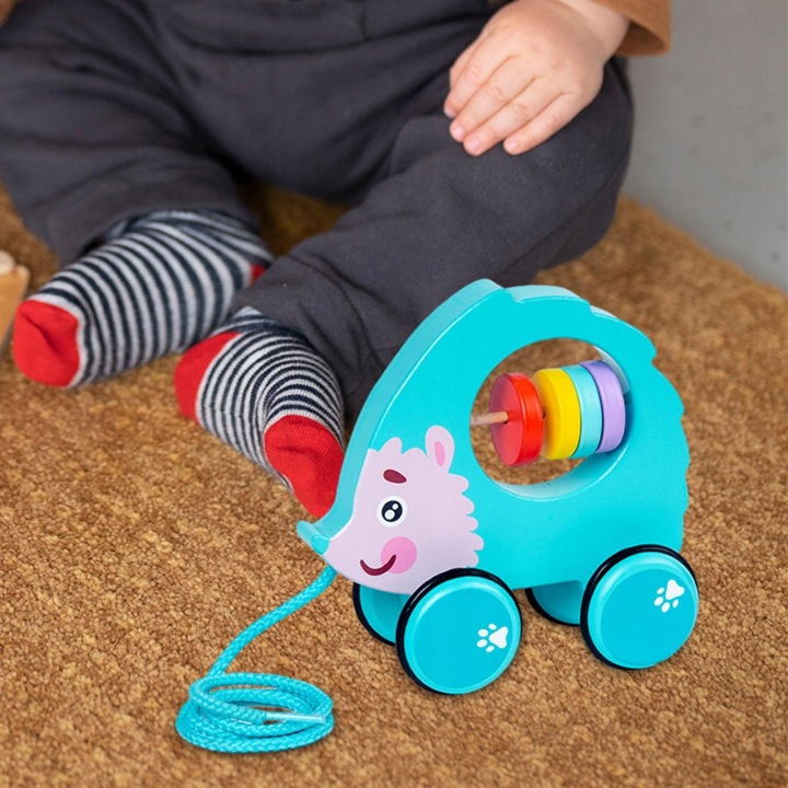 Pull Along Walking Toys Push & Pull Toy Раннє навчання Легке штовхання Їжак — фото 4