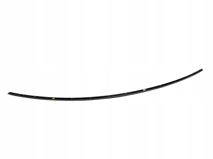 Leiste Schutzleiste dach links TESLA MODEL 3 1083519-01-D