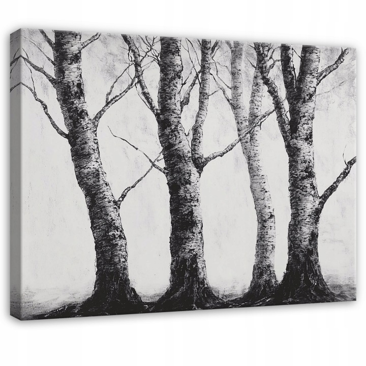Obraz 120x80 Břízy stromy les černá bílá příroda minimalismus umění