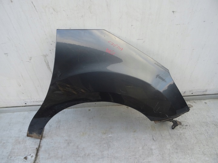 CITROEN C3 II DS3 fender right front front