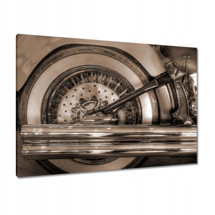Obrazy 100x70 Harley Davidson Motocykl