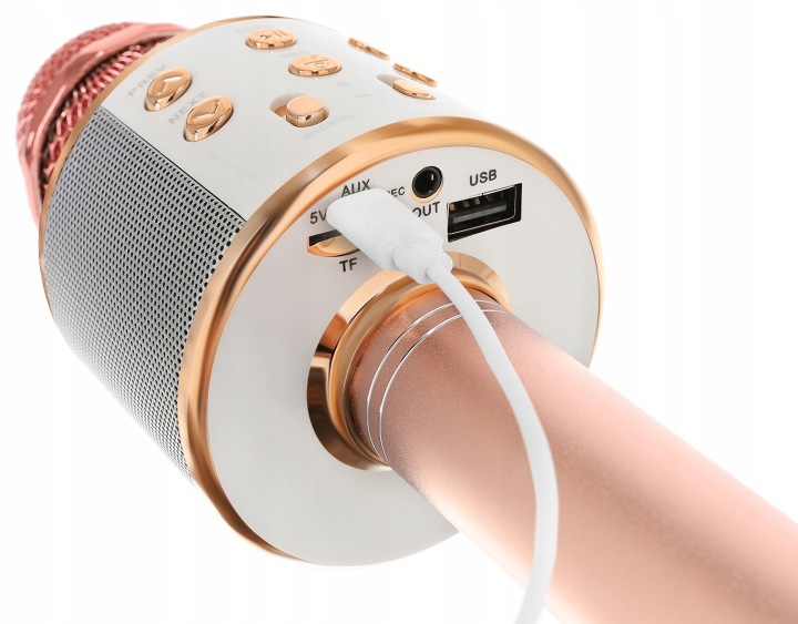MIKROFON KARAOKE колонка з мікрофоном бездротовий BLUETOOTH запис — фото 5