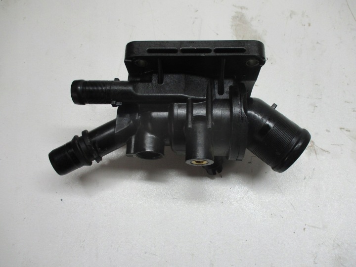 Scatola termostato RENAULT AUSTRAL 1,2TCE 110611151R