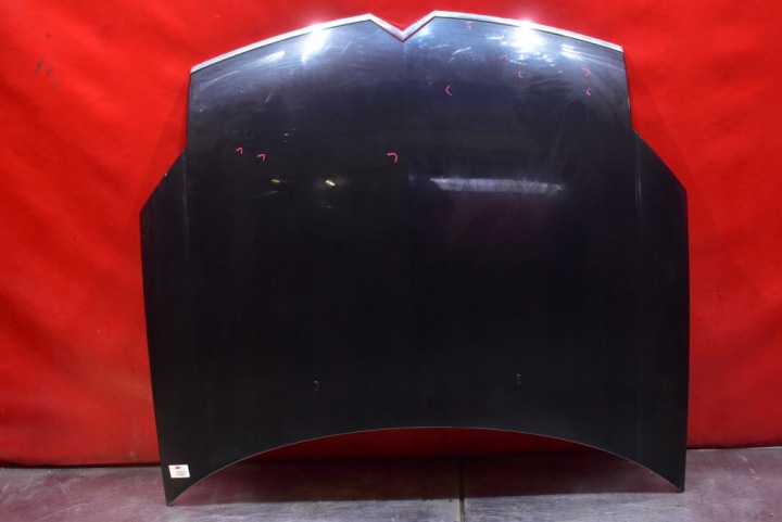 Motorhaube Fronthaube EYPC CITROEN C6 1 und 04-12