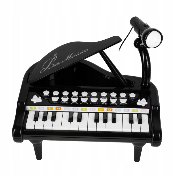 PIANO MULTIMEDIA PIANO FOR CHILDREN ORGAN KARAOKE MICROPHONE MP3 Brand click4TOYS