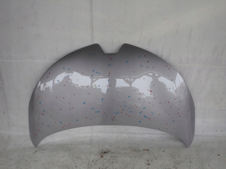 RENAULT ZOE 12-19 Cofano