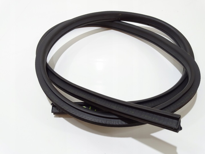 Dichtsatz Tür links BMW E88