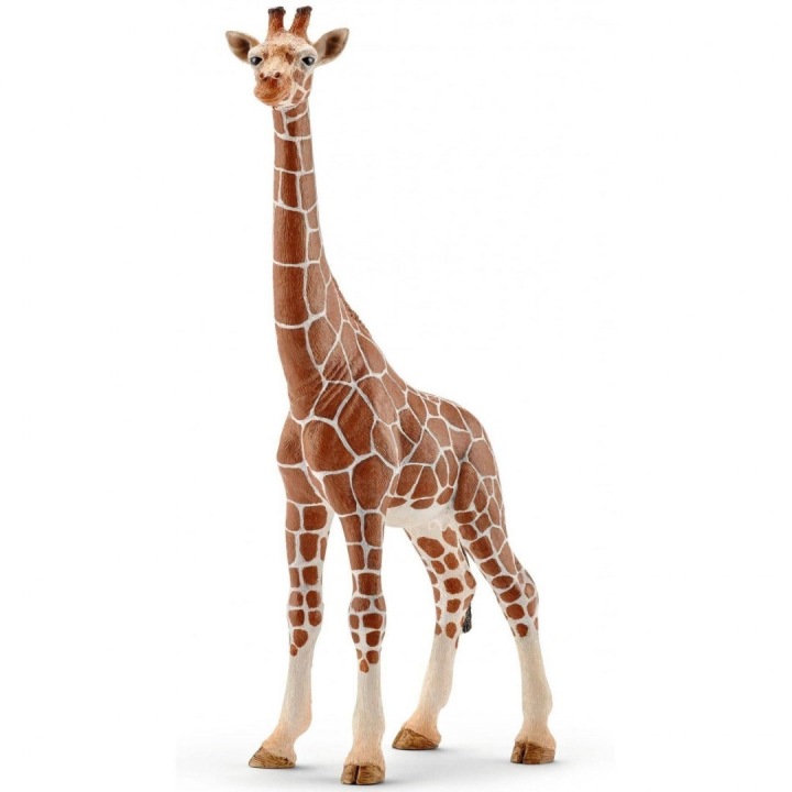 Фігурка самка жирафи SCHLEICH 14750 — фото 2