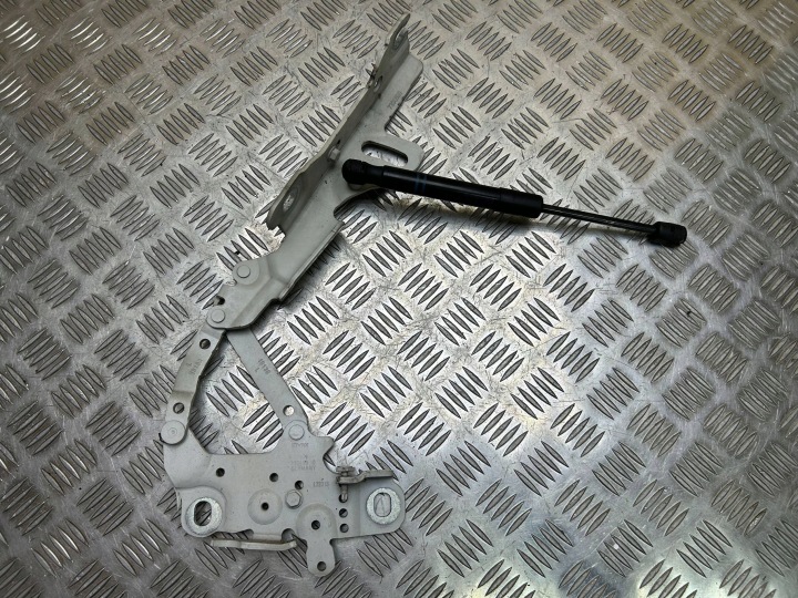 Scharnier pokrywy / der Kühlergrill DES MOTORS links BMW 1 F20 F21 2013 7336699