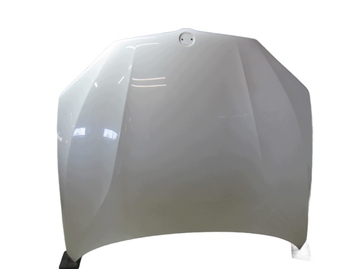 BMW X5 F15 cofano Anteriore F16 Coperchio APLINWEISS A300 Motore 41007381758