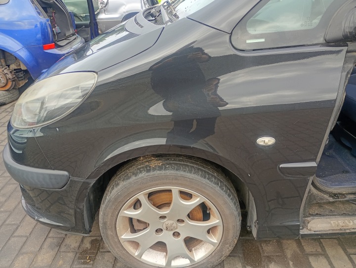 parafango sinistra anteriore anteriore Peugeot 1007 06-13 codice lakieru EXLD