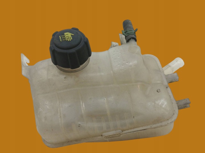 Ausdehnungsbehälter 217100005R Renault Scenic III (2009- )