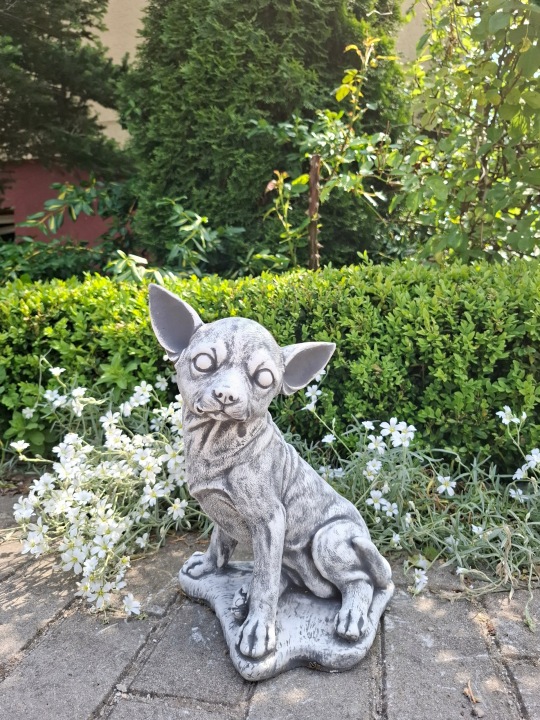 Betonová figurka Pes Čivava betonové figurky pejsek dekorace do zahrady