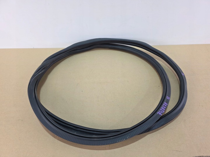 guarnizione PORTA Portiera Destro sinistra Anteriore BMW X5 G05 LCI 7428678