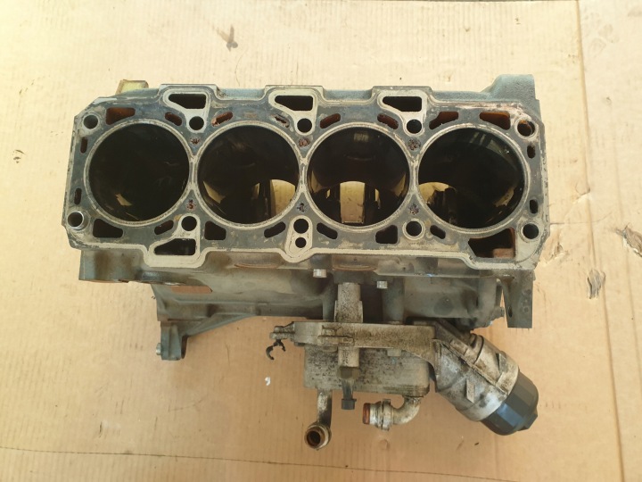 Motore BLOK Motore 2.0 DDIS M. JET SUZUKI SX4 FIAT SEDICI D20AA 55208725
