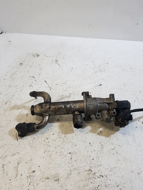 Abgaskuehler AGR PEUGEOT 307 9645689780