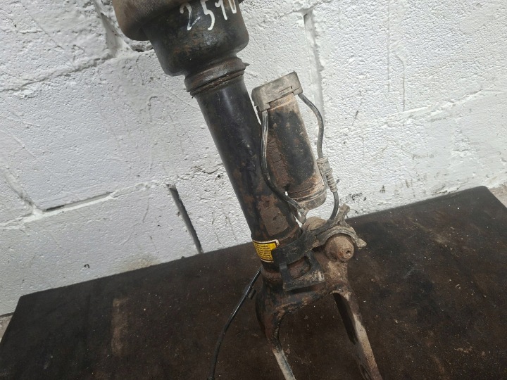 Pneumatic shock absorber front Mercedes-Benz R W251 6