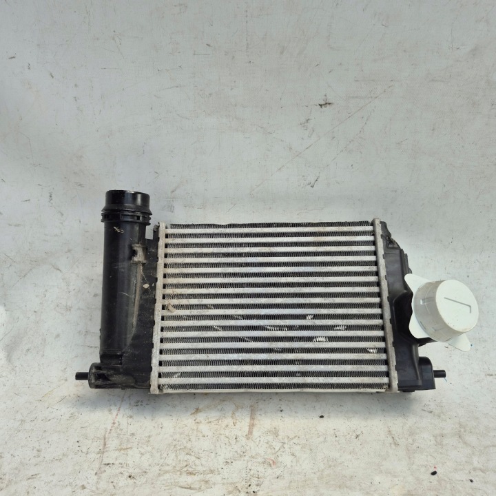 RENAULT KADJAR NISSAN QASHQAI III J12 14- Blende Abdeckung des Kühlers intercooler