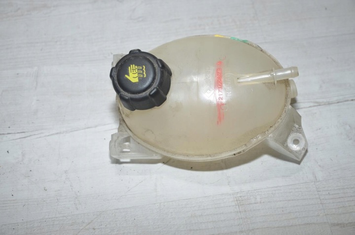 VASCHETTA Serbatoio acqua 1.5 DCI Dacia Duster II 18r