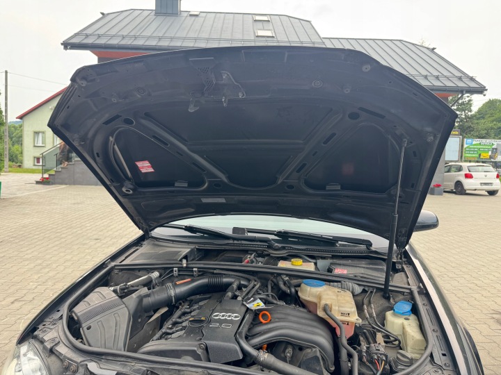 AUDI A4 B7 COLD LZ9Y 10