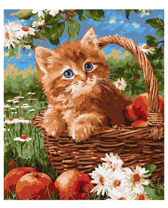 Малювання за номерами - Рудий котик і яблука 40x50c
