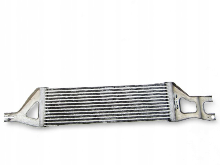 RADIATORE OLIO MOTORE USATO MERCEDES W251 R-KLASA 3.0 V6 CDI LIFT
