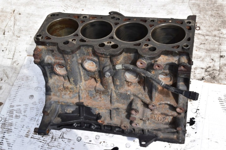 Blok of the engine HYUNDAI TUCSON and KIA SPORTAGE II 2.0 16V G4GC
