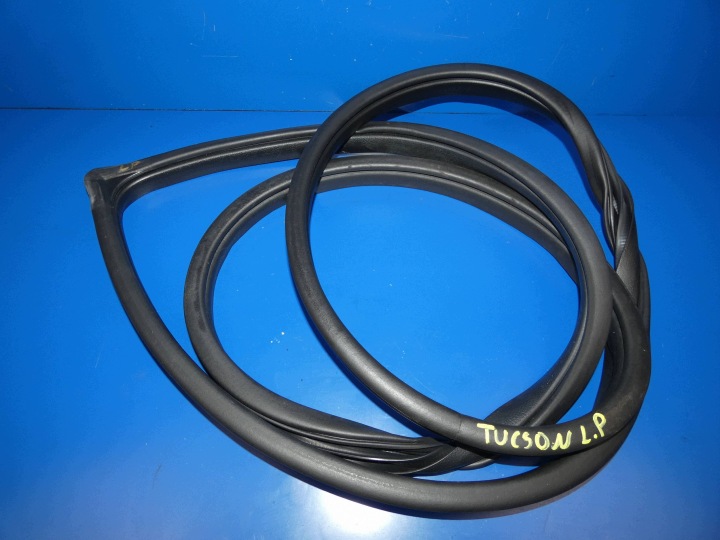 HYUNDAI TUCSON III guarnizione carrozzeria porta portiera sinistra anteriore sinistra autisti