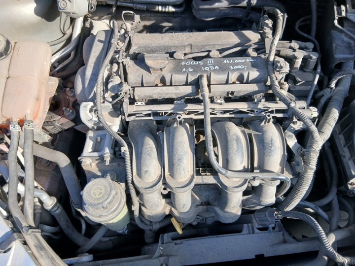 motor FORD FOCUS 3 1.6 IQDA