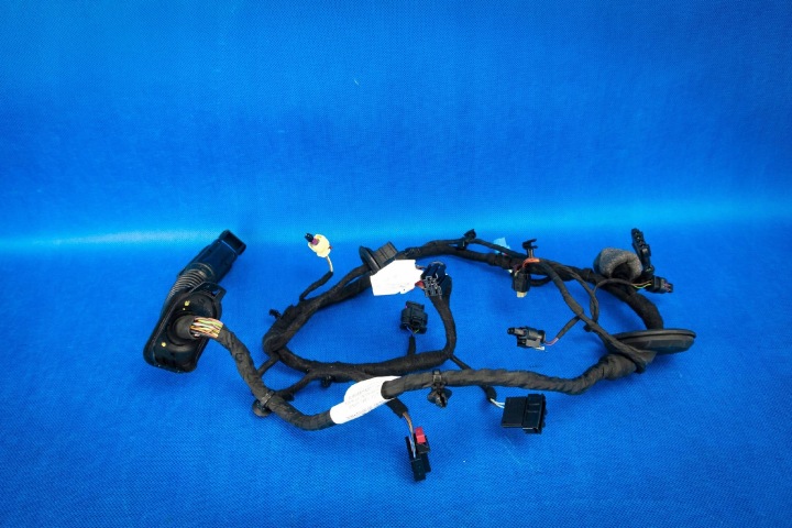 kabelbaum kabelsatz elektrisch Tür Audi A8 4N 4N0971029CH