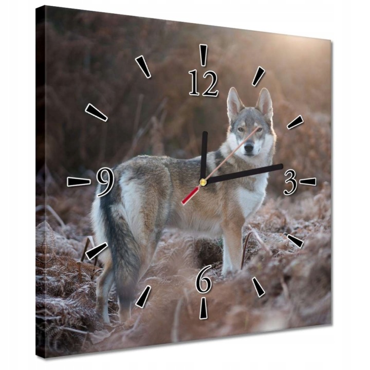 Hodiny 30x30 Majestátní vlk