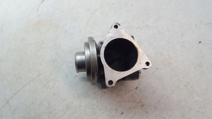 EGR valve Seat Toledo II