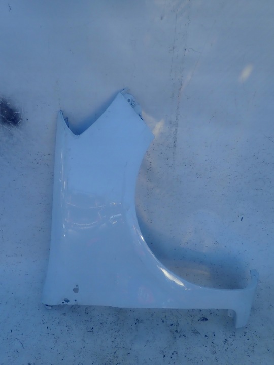 RENAULT CLIO III 05-12 185 Aile Avant Droite