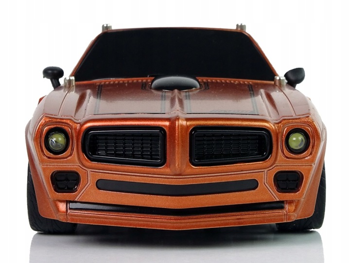 Авто спортивне R/C 1:18 коричневі CHAMPION — фото 3