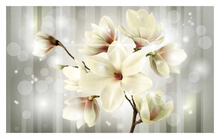 Fototapeta Magnolie Gradient Bokeh jemnost 416x254 vinylová lepidlo