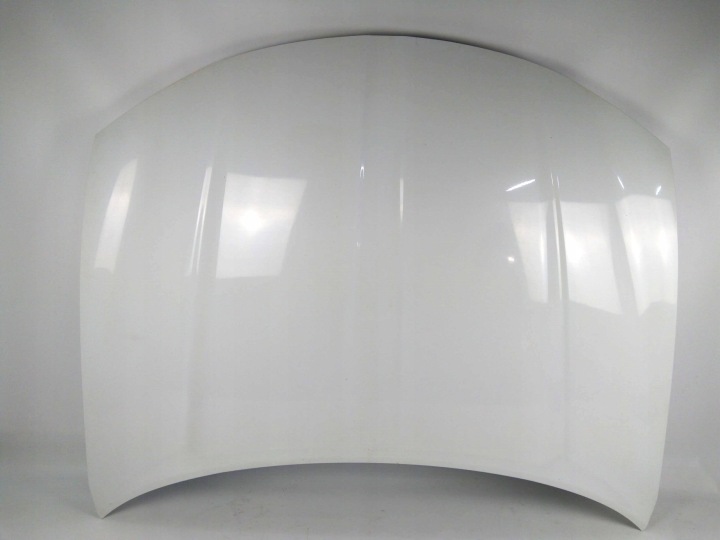 Dodge Charger 2015+ lift bonnet