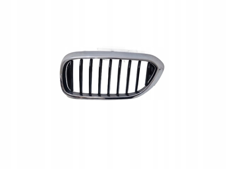 * BMW 5 G30 G31 Grill Kühlergrill salberk Nieren der Stoßstange vorne vorne links