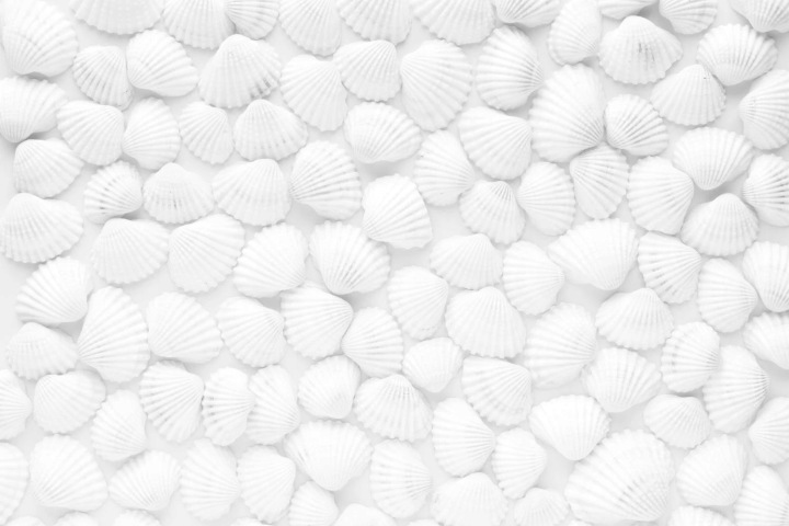 Magnetická maskovací podložka na radiátor, bílé mušle, 60 x 100 cm